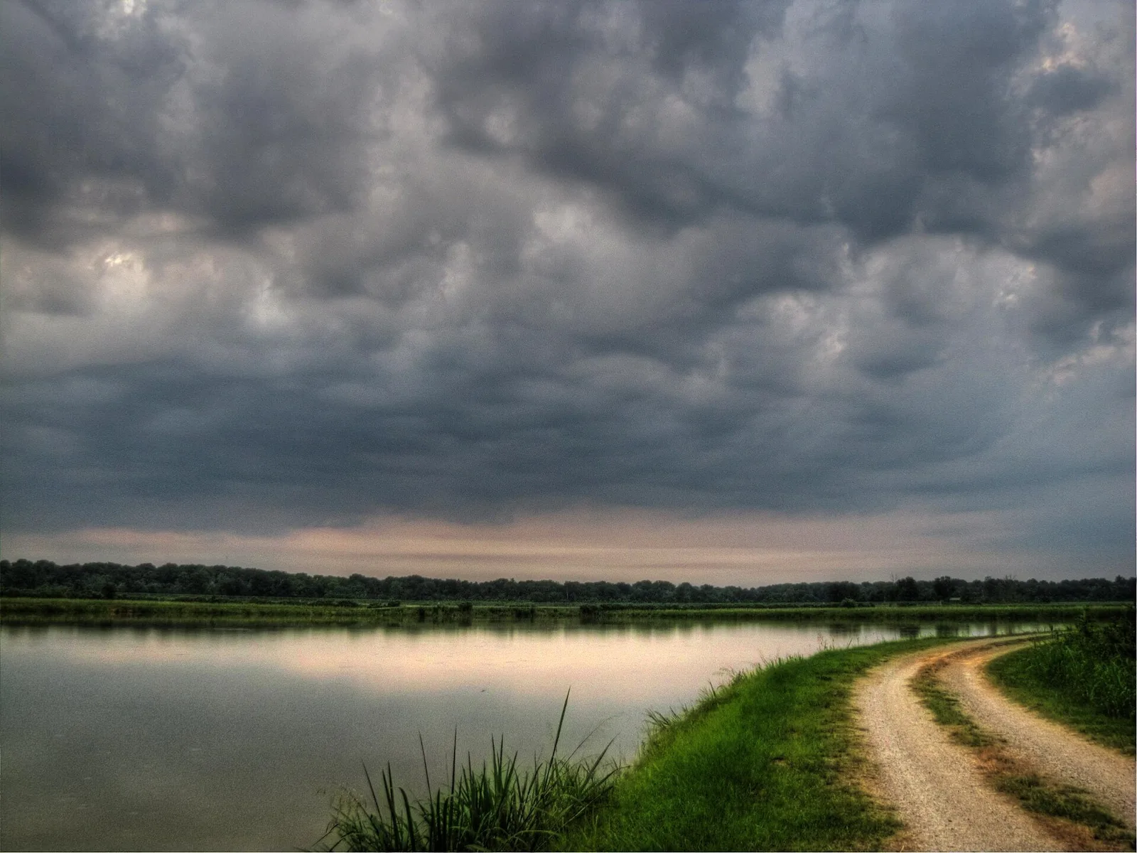 The Constructed Wetland Trail at Phinizy Swamp Nature Park in Augusta.