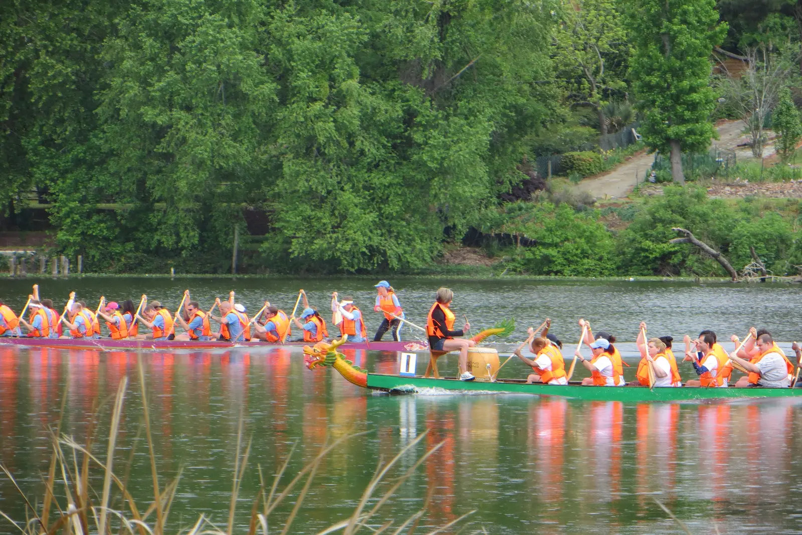 Dragon boat crews racing on Lake Olmstead in Augusta, beside Lake Olmstead Park on Broad Street.