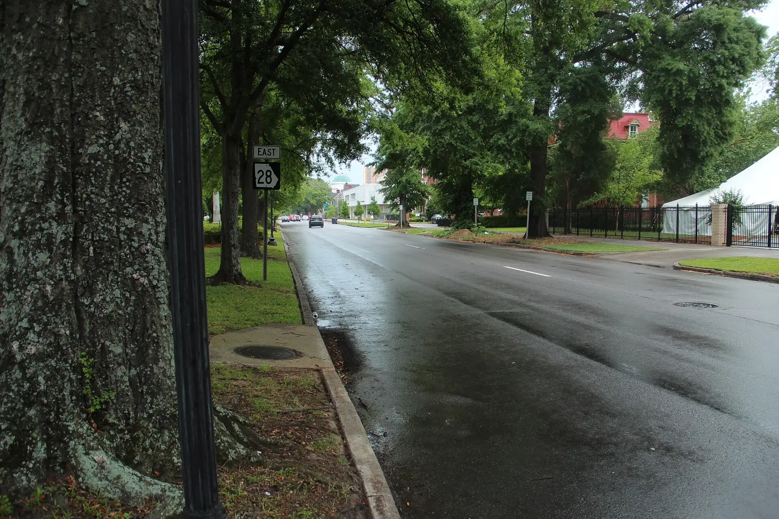 The tree-lined median of Greene Street in downtown Augusta.