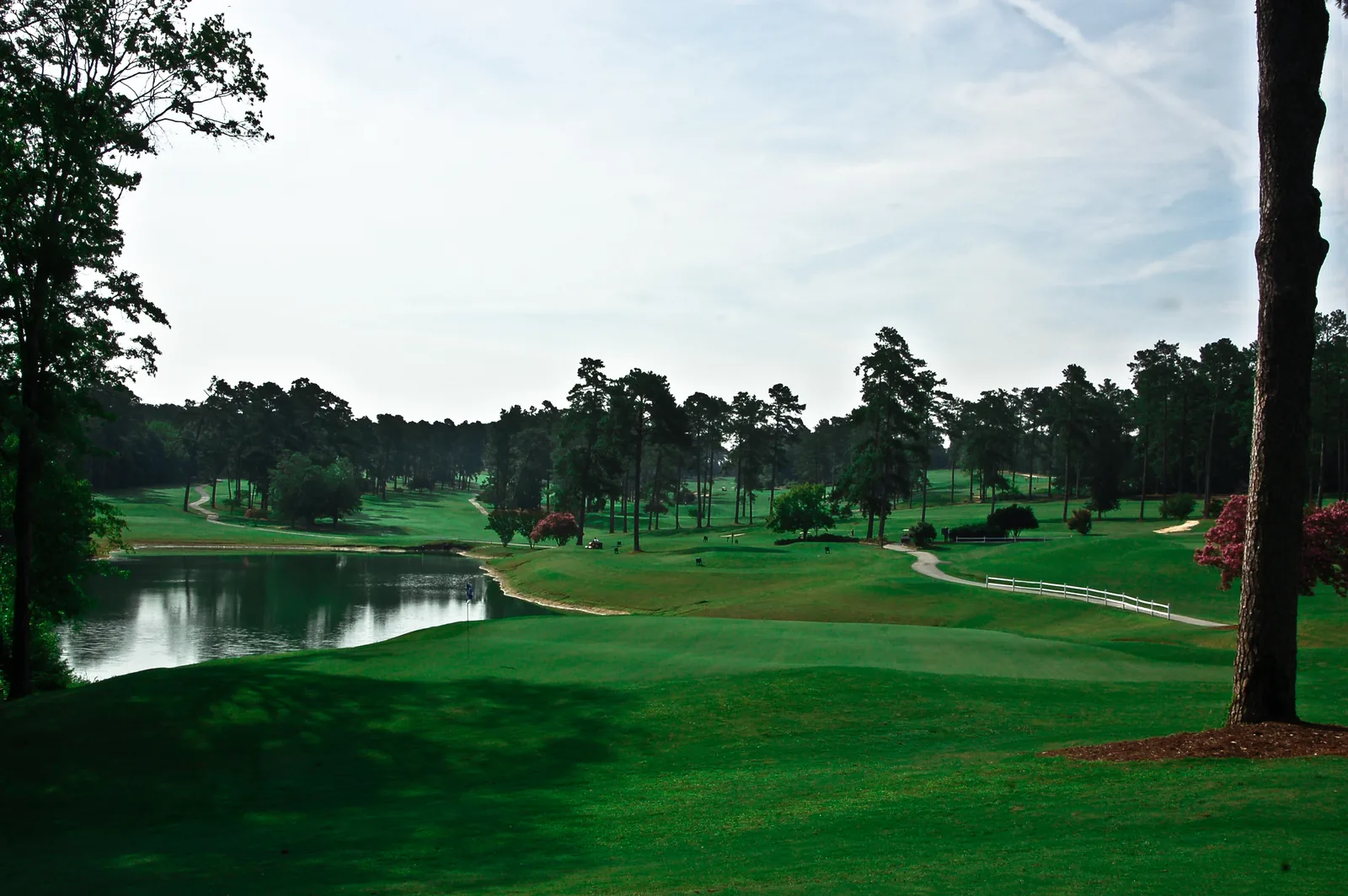 A par-3 hole with a pond on the back nine at Forest Hills Golf Club.