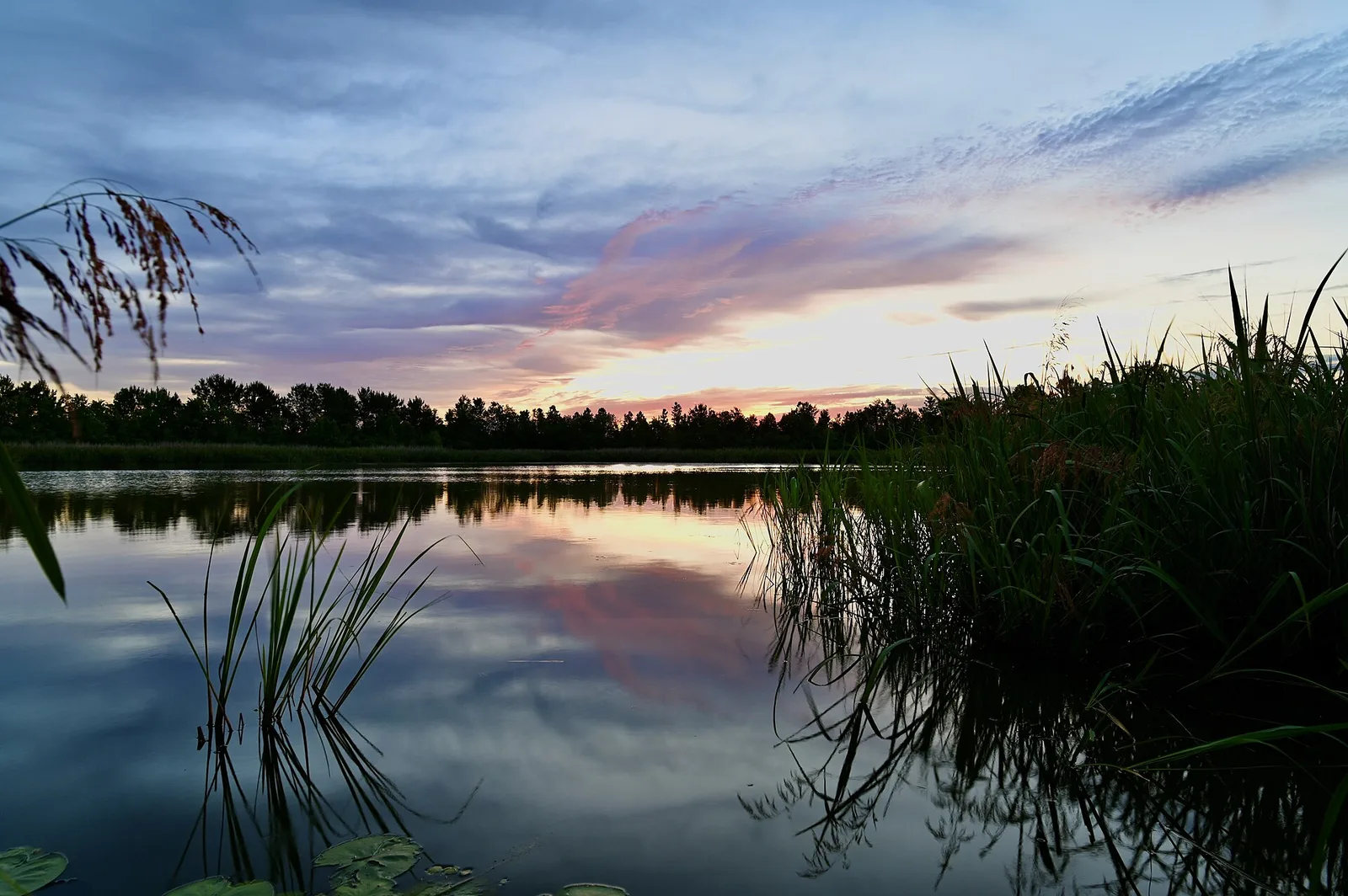Sunrise over Phinizy Swamp Nature Park in south Augusta.