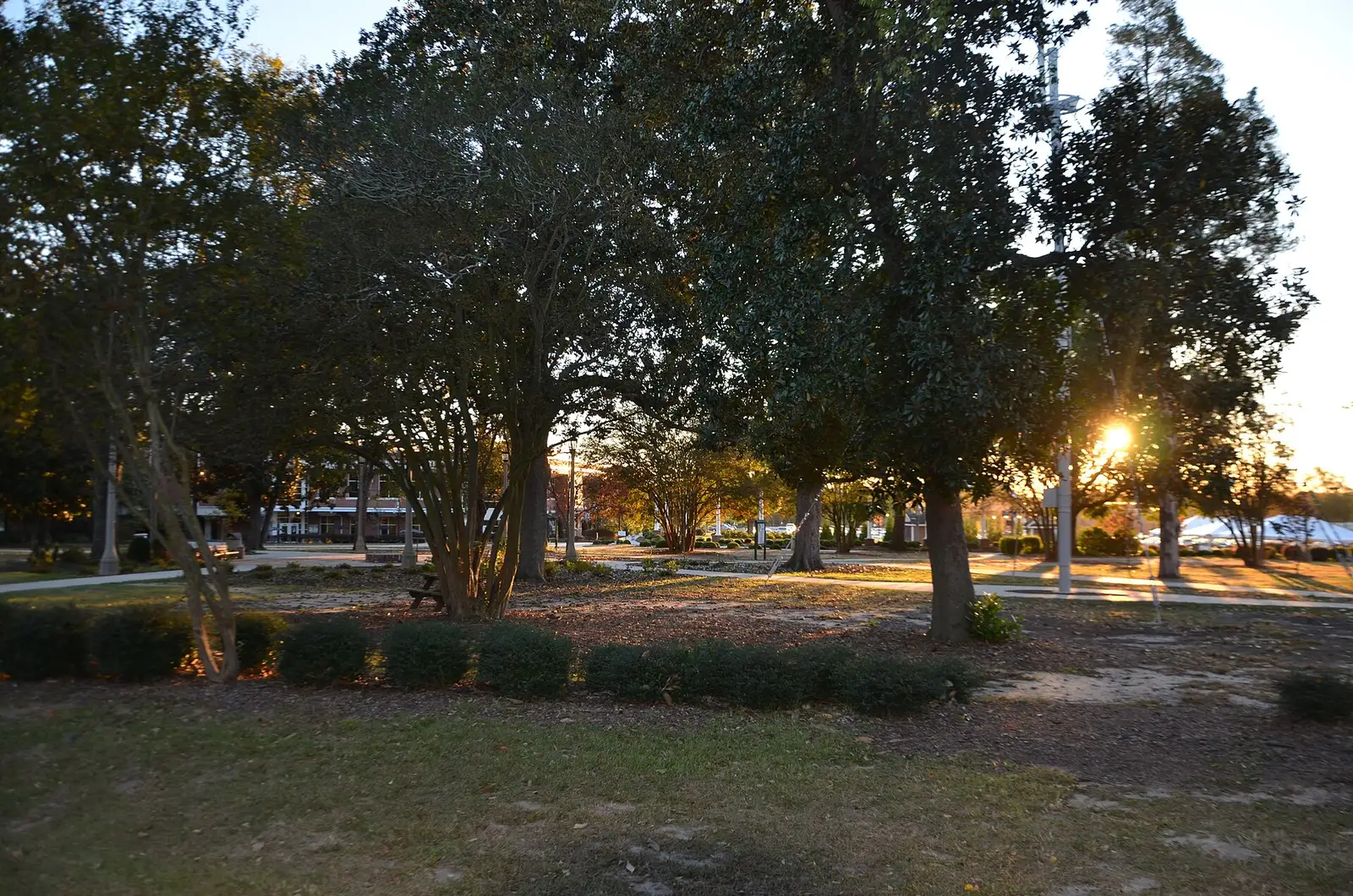 Part of Augusta University's Summerville campus.